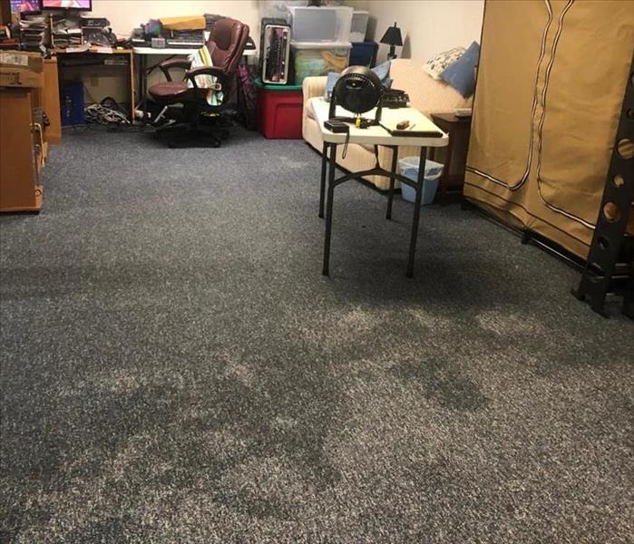 A photo showing water on a carpet
