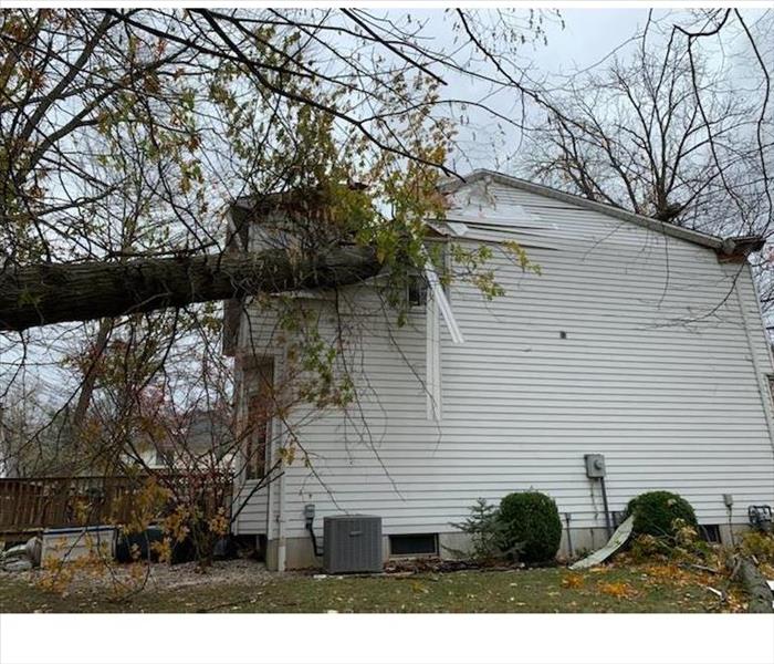 During storm, huge tree fell on this customers home while they were asleep